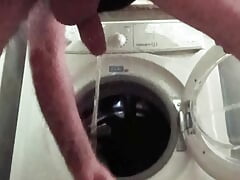 Pee in the laundry room