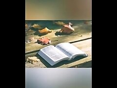 Numbers 5-6 KJV (Full Bible Read Through Video #27)