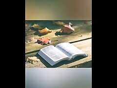 Numbers 15-17 KJV (Full Bible Read Through Video #31)