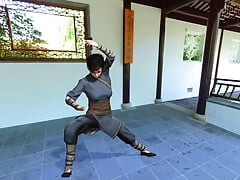 CFP- Kung Fu Practice