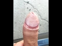 Public pissing and jerking