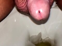 Pissing into toilet